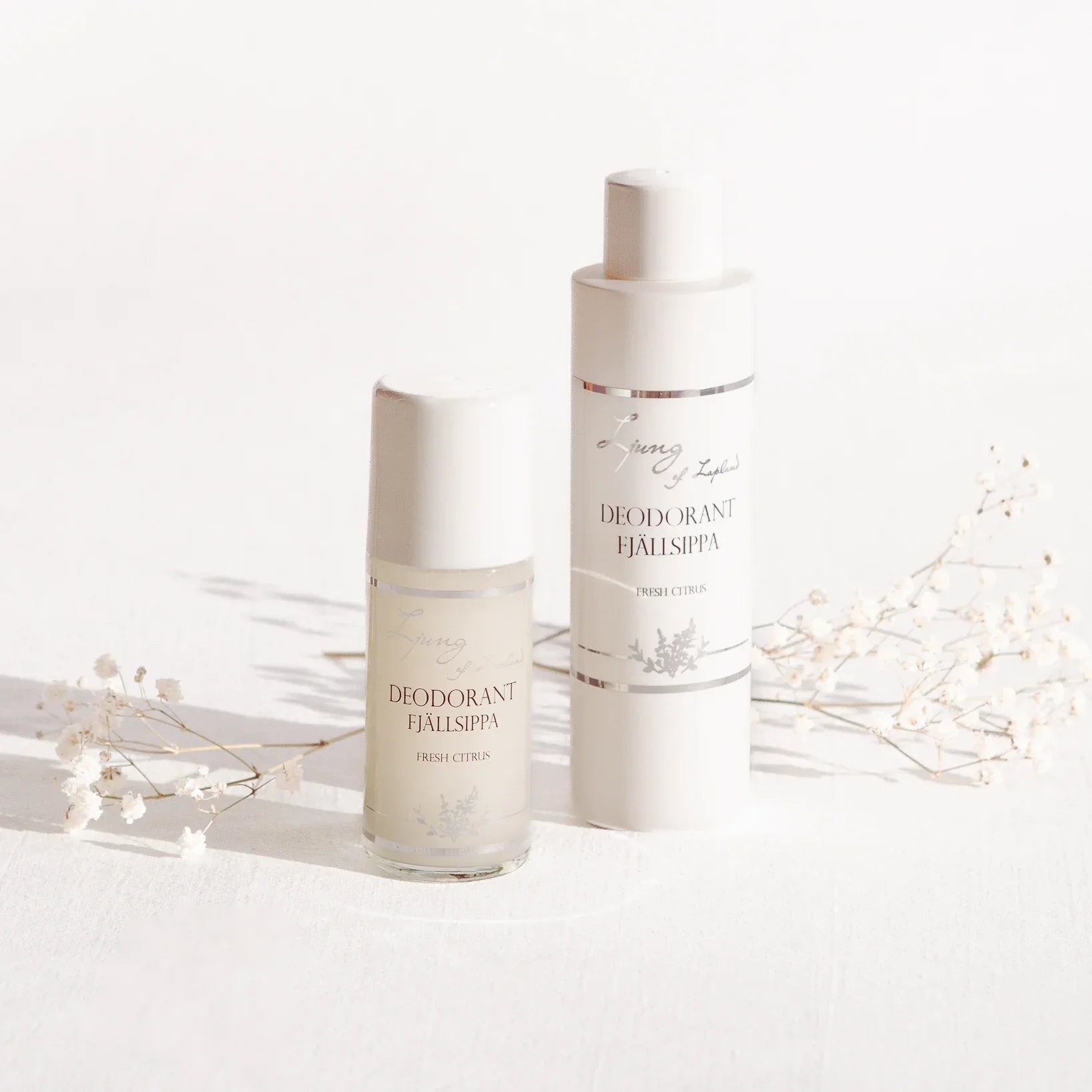 Refill Deodorant Fjällsippa