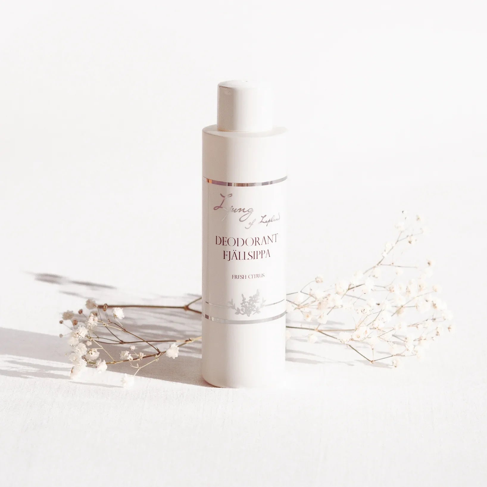 Refill Deodorant Fjällsippa