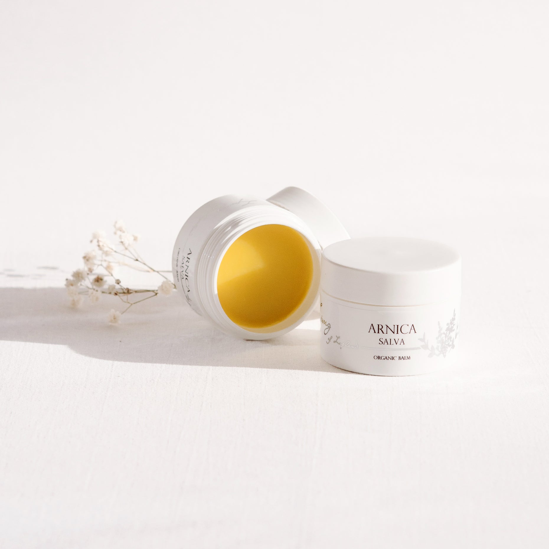 Arnicasalva - Ljung hudvård